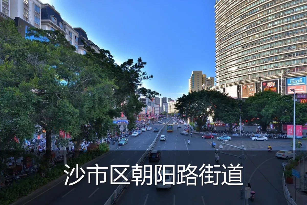 沙市区朝阳路街道