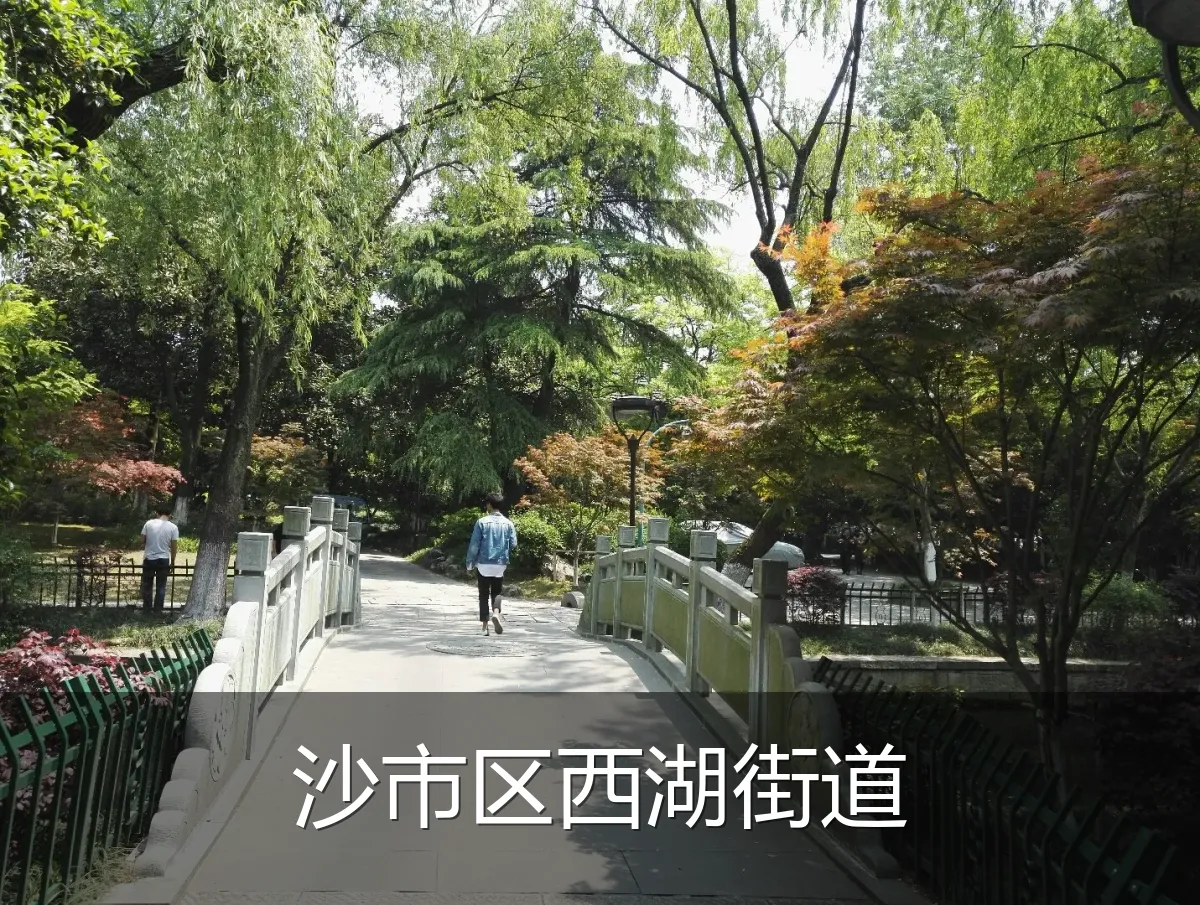 沙市区西湖街道