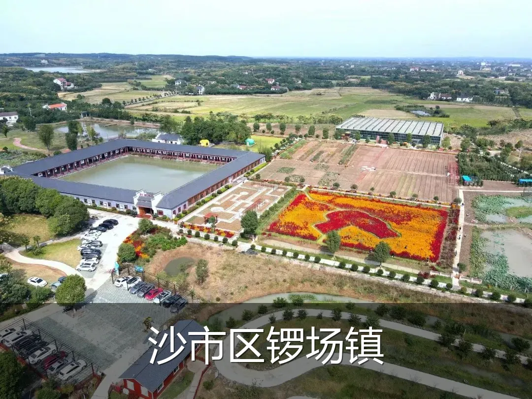 沙市区锣场镇