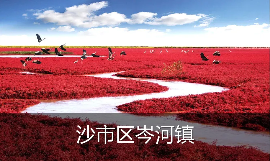 沙市区岑河镇